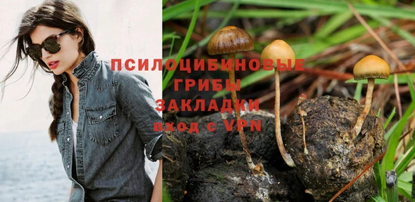 бошки Богородск